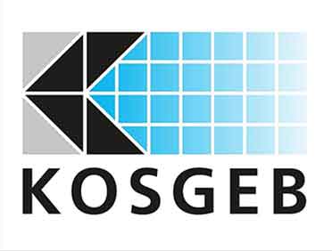 KOSGEB, Yazılım Sektörüne Destek
